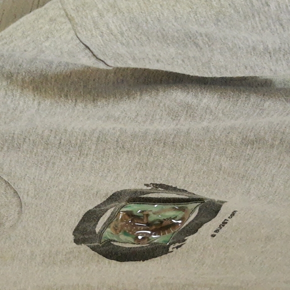 BugsT 3D Lizard Tee, Book, Toy - Picture 5 of 16